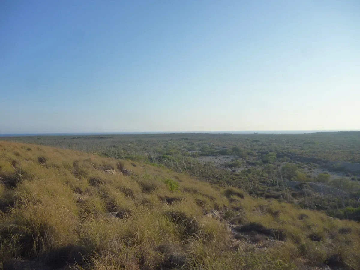 Dry grasses and low scrub spread across an open plain beneath a broad blue sky.