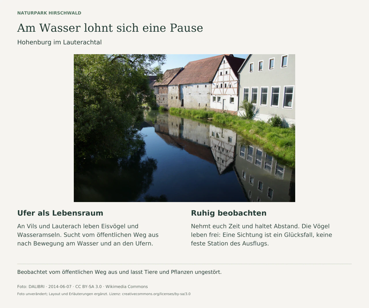 Wasserlauf in Hohenburg mit Spiegelungen alter Häuser und Ufergehölzen. Text lädt zur ruhigen Vogelbeobachtung von öffentlichen Wegen aus ein; im Bild sind keine Vögel zu sehen.