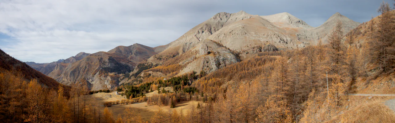Golden-orange trees frame a grassy mountain basin beneath pale rocky ridges, with a narrow track at the right edge.