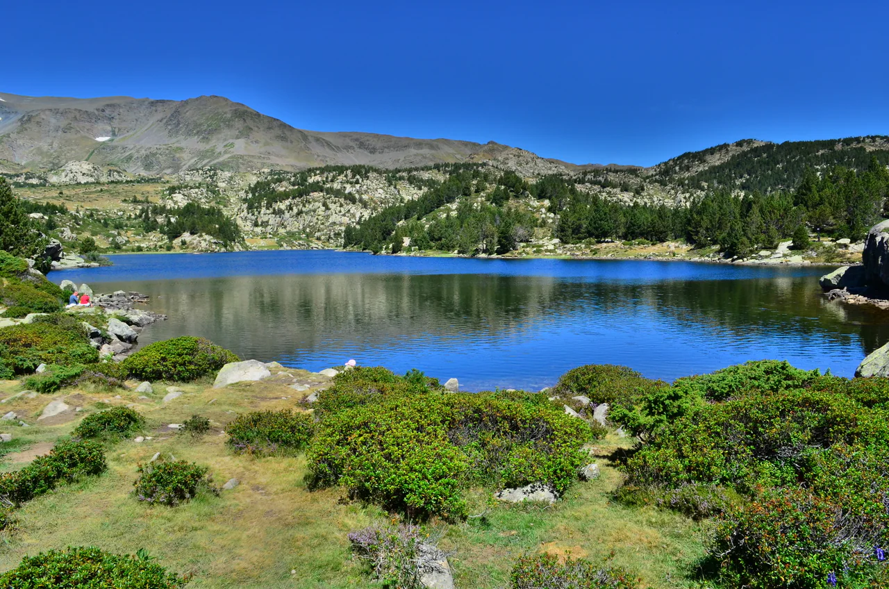 A blue mountain lake lies below a rocky ridge, bordered by low shrubs, pale rocks and conifers, with a few small visitors near the shore.