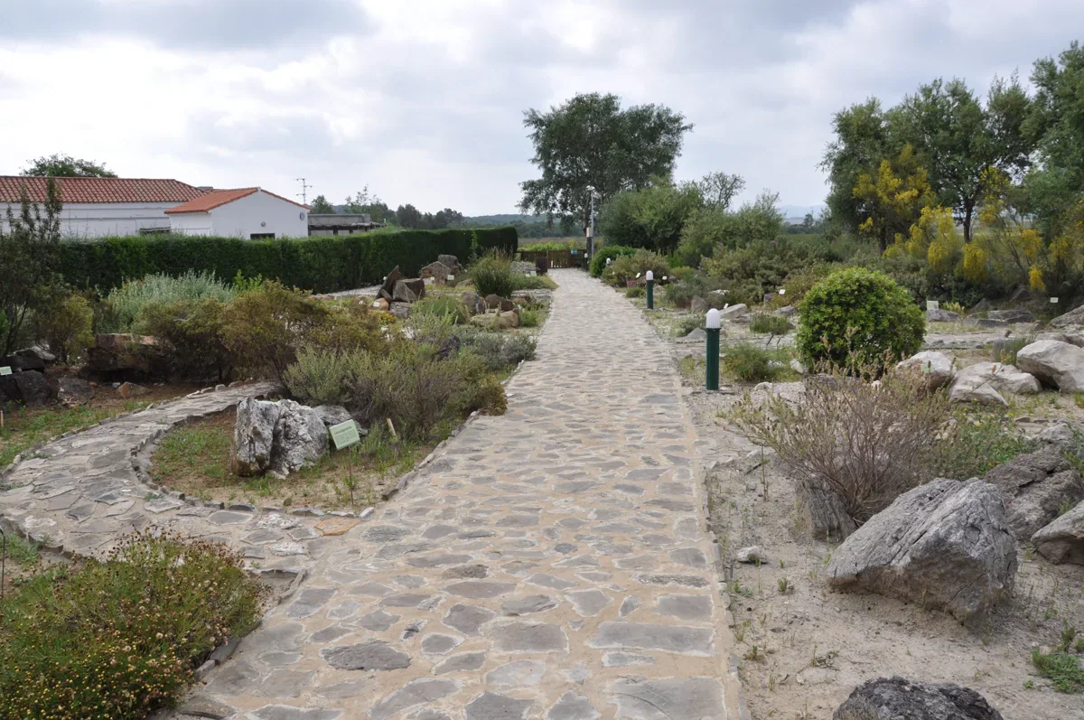 A stone-paved garden path passes low planting beds, rocks and small labels, with a white building to the left.