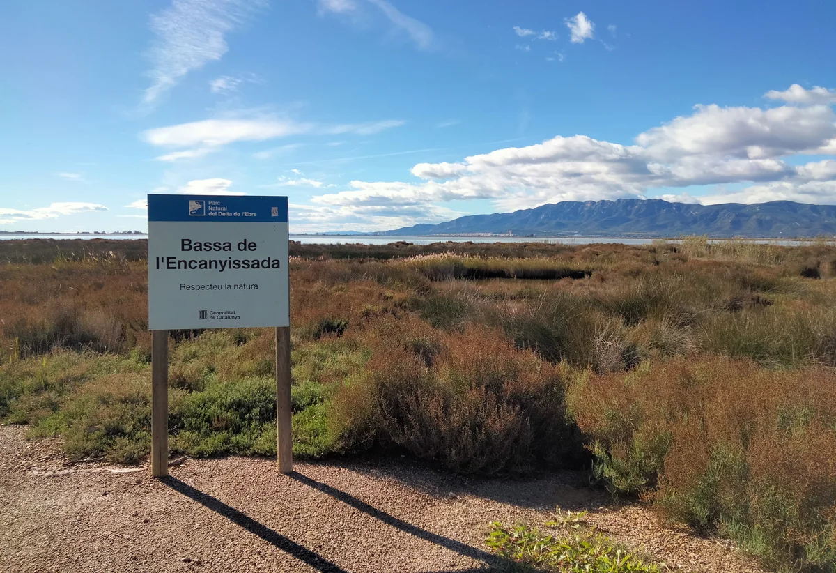 A Catalan sign for l’Encanyissada stands beside low wetland plants, with lagoon water and a long mountain ridge beyond.
