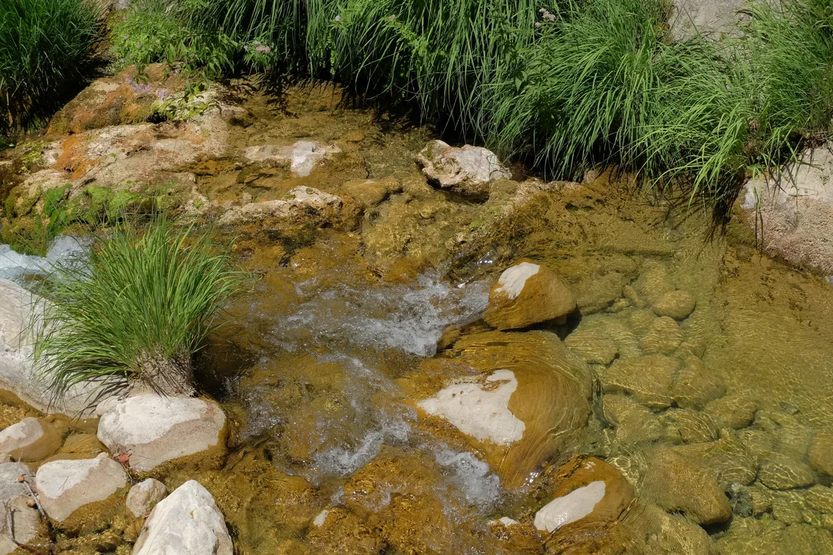 Clear shallow water flows among pale rocks, with dense green grasses along the riverbank.