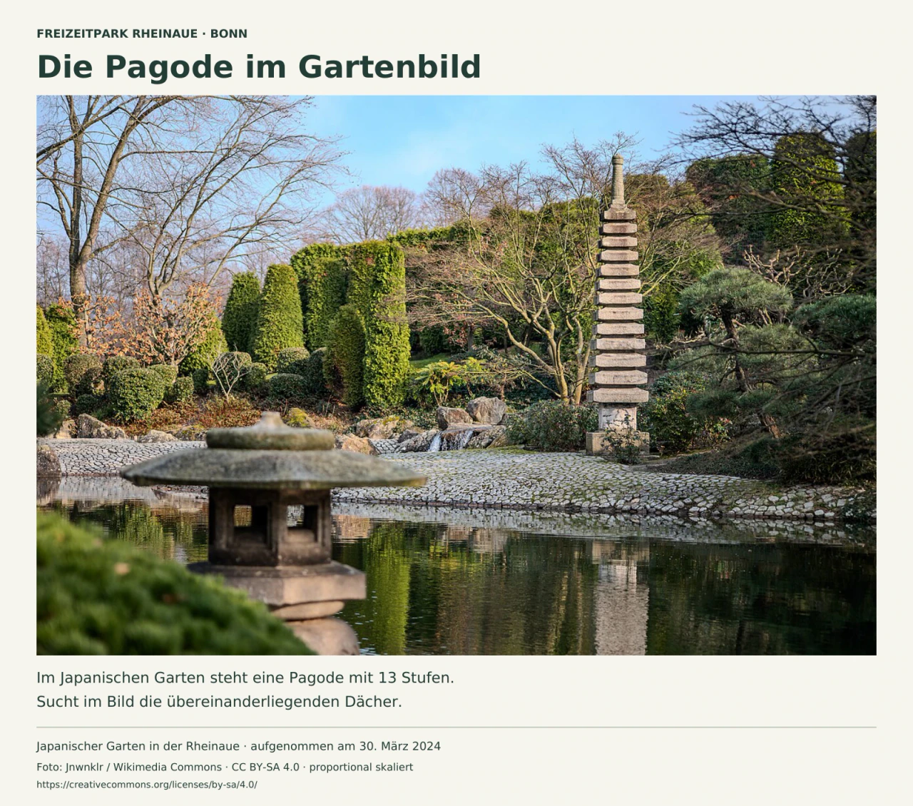 Im Japanischen Garten der Bonner Rheinaue spiegelt sich eine hohe steinerne Pagode im Teich. Links vorn steht eine unscharfe Steinlaterne; geschnittene Gehölze und noch kahle Äste rahmen den Blick.