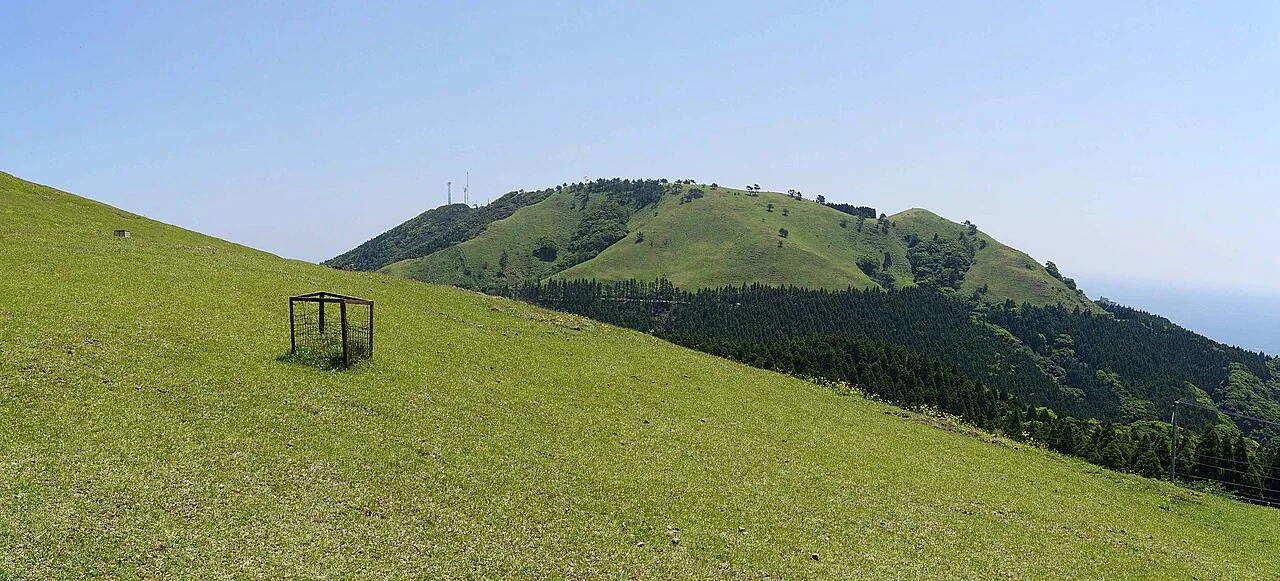 A green grassy hillside overlooks a wooded ridge and a narrow blue coastal horizon, with a small protective wire enclosure in the foreground.