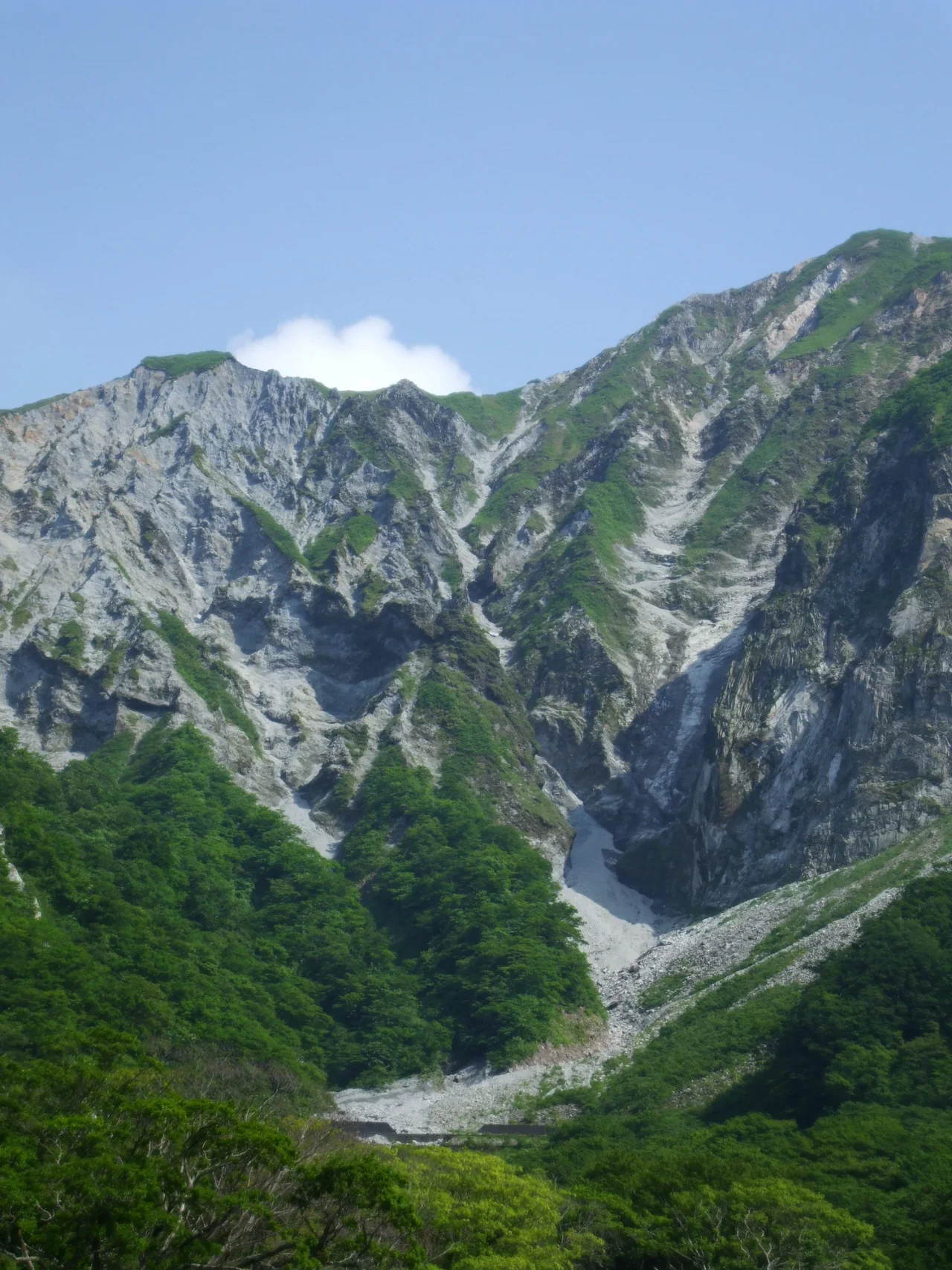 緑と岩肌が交じる大山の急な北壁に灰色の谷筋が刻まれ、下には森、上には青空が広がる。