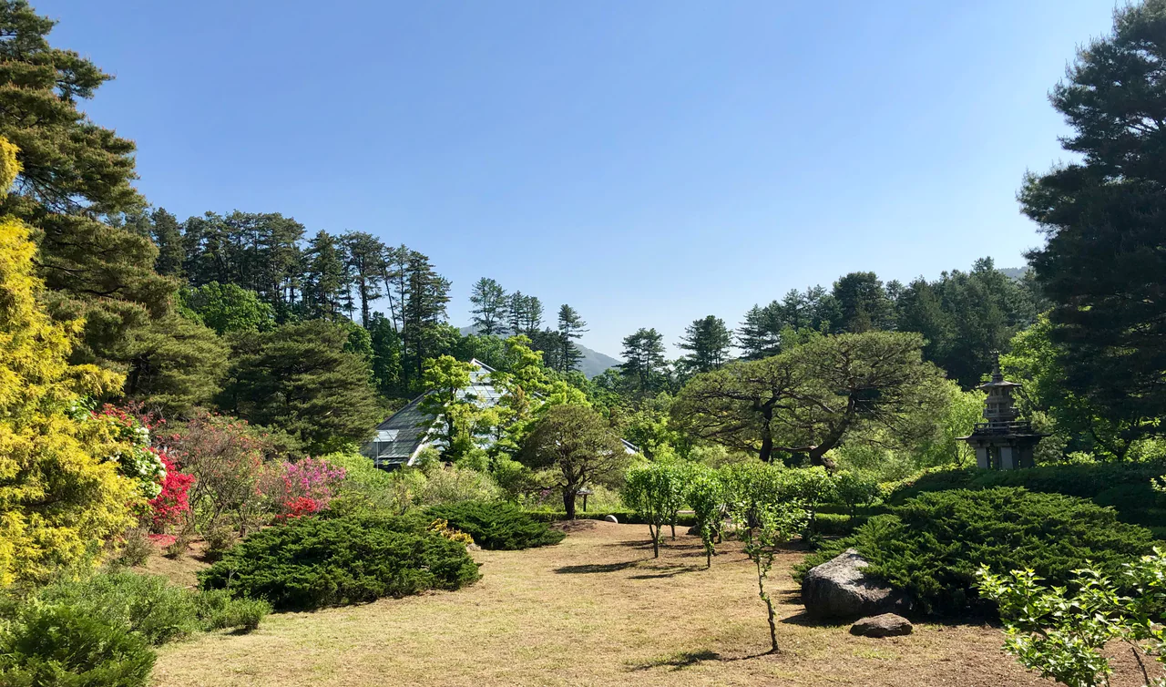 Cultivated trees, colourful flowering shrubs and lawn beneath a blue sky, with tall woodland behind, a partly visible glass roof and a stone garden structure.