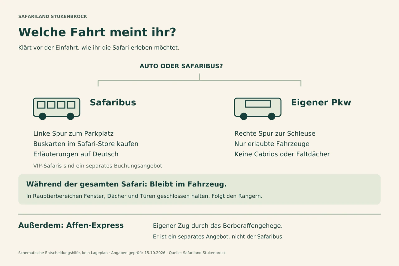 Entscheidungsdiagramm: links Safaribus über Parkplatz und Safari-Store, rechts eigener erlaubter Pkw durch die Schleuse. Eine Notiz nennt separat buchbare VIP-Safaris. Darunter die Regel, im Fahrzeug zu bleiben, und die Abgrenzung zum Affen-Express.