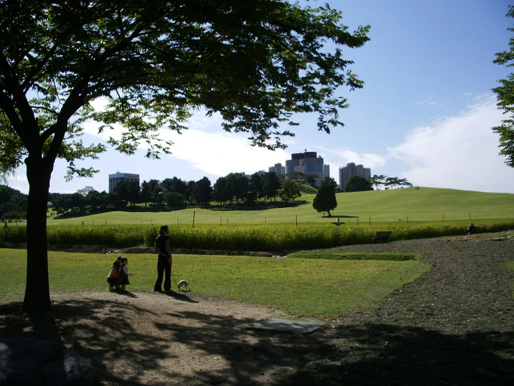 A tree shades two people and a dog in the foreground, with grassy Mongchontoseong slopes, a solitary tree and distant buildings beyond.