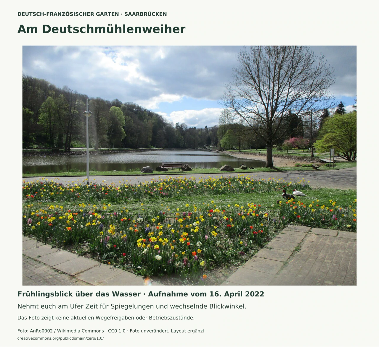 Gelbe, rote, weiße und violette Frühlingsblüten füllen geschwungene Beete im Vordergrund. Dahinter liegen ein Weg mit Bank, der Deutschmühlenweiher und bewaldete Hänge. Rechts steht ein noch weitgehend kahler Baum; zwei Vögel sitzen im Gras.