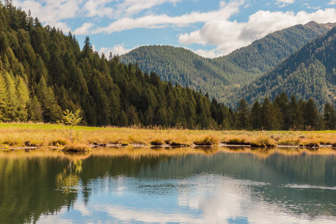 Still lake water reflects a grassy shore, conifer-covered slopes and patches of blue sky beneath pale clouds.