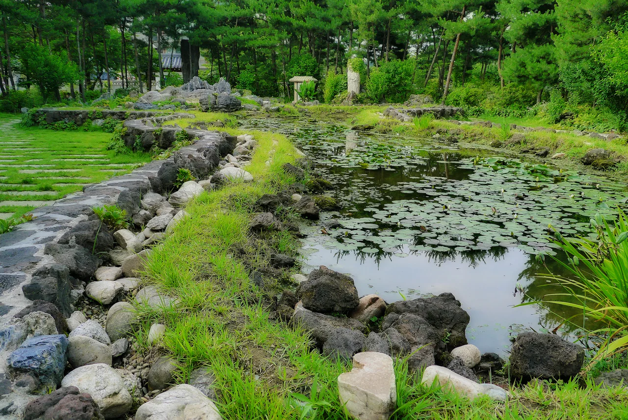 A rock-edged pond filled with floating leaves, with grasses along the water, a stone path to the left, trees, and a distant tiled roof and upright carved stones.