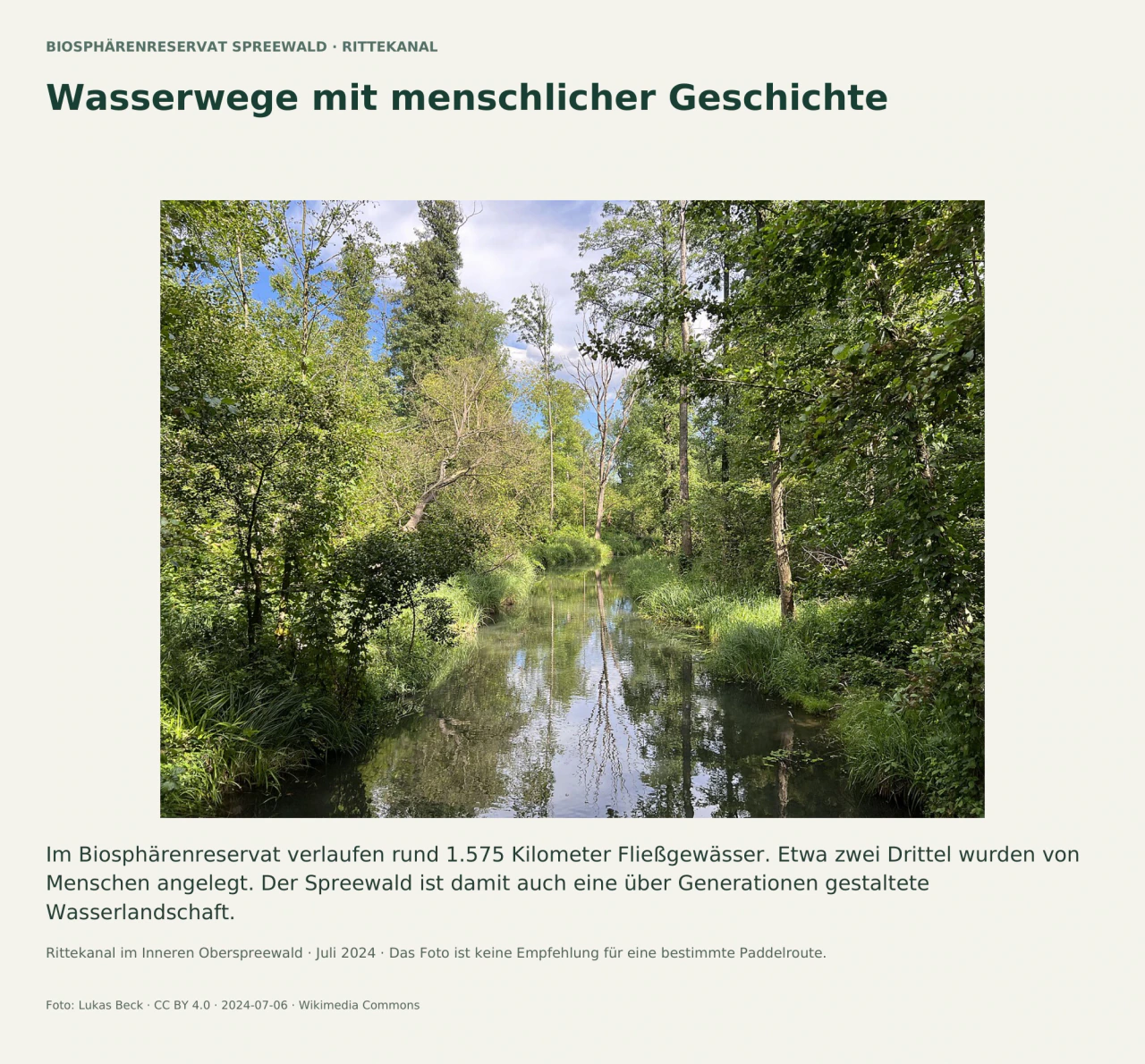 Ein schmaler, ruhiger Wasserlauf zwischen dicht bewachsenen Ufern und hohen Bäumen im Inneren Oberspreewald; Bäume spiegeln sich im Wasser. Der Text erklärt den großen Anteil künstlich angelegter Wasserwege.
