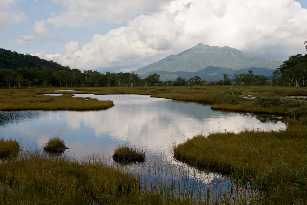 Reflective pools wind through golden-green wetland, with a narrow boardwalk at the right and a forested mountain beneath broken cloud.