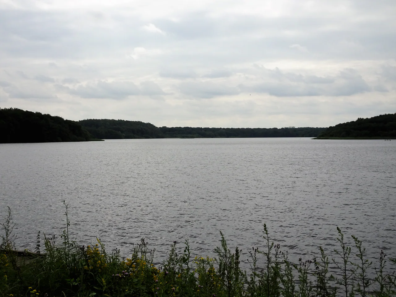 A broad lake beneath grey clouds, bordered by dark woodland and foreground plants.