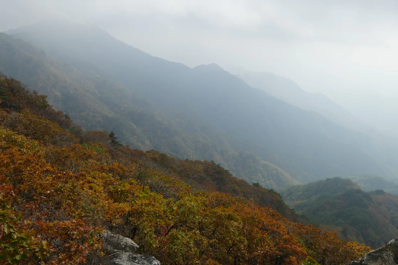 Autumn-coloured wooded slopes and foreground rocks beneath layered mountain ridges fading into pale mist.