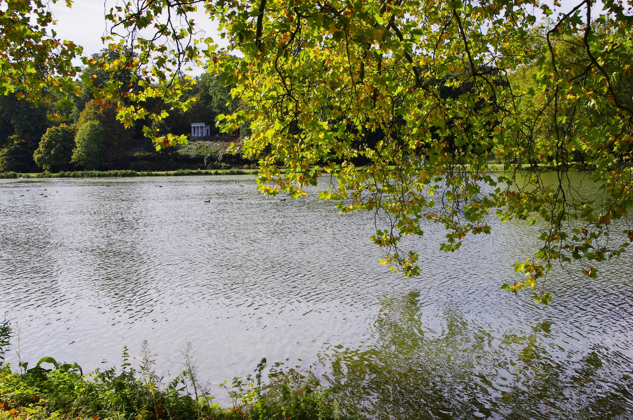 Green and yellow leafy branches overhang a lake, with a wooded opposite bank and a small classical stone structure in the distance.