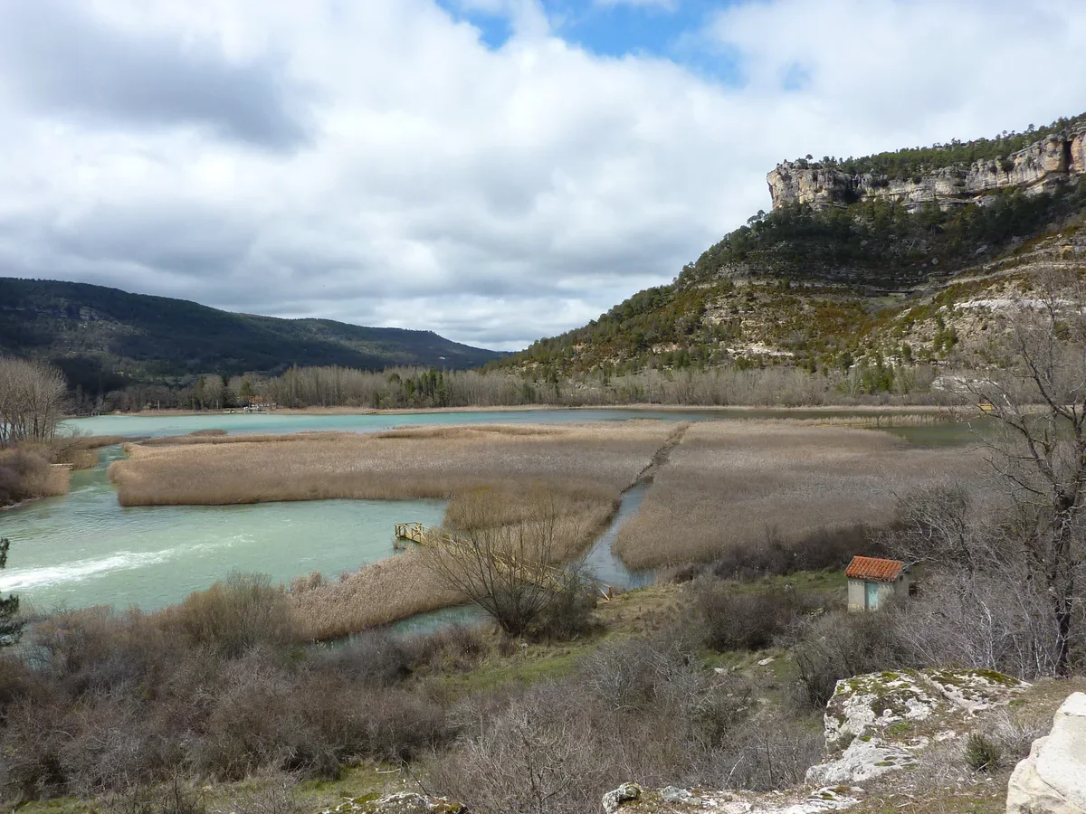 Pale turquoise lagoon channels among extensive reedbeds beneath the rocky cliffs near Uña.