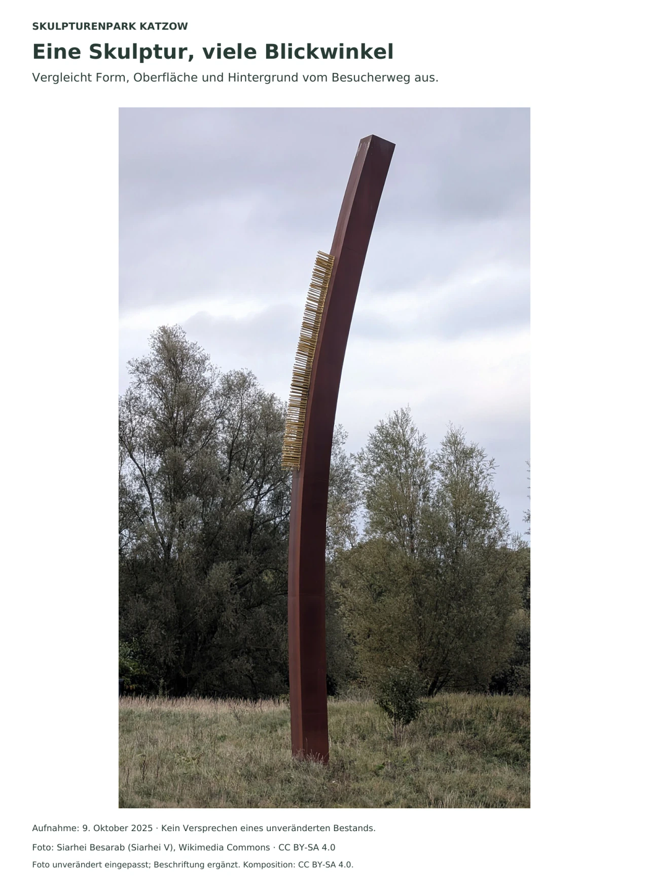 Fotografie einer hohen, leicht gebogenen rostbraunen Metallskulptur auf einer Wiese. An einer Seite sitzen viele kurze goldfarbene Stäbe wie ein Kamm; dahinter stehen Bäume unter grauem Himmel.