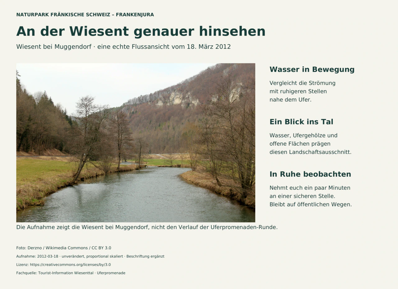 Die Wiesent fließt zwischen offenen Wiesen und kahlen Uferbäumen; daneben drei Anregungen zur ruhigen Beobachtung vom öffentlichen Weg.