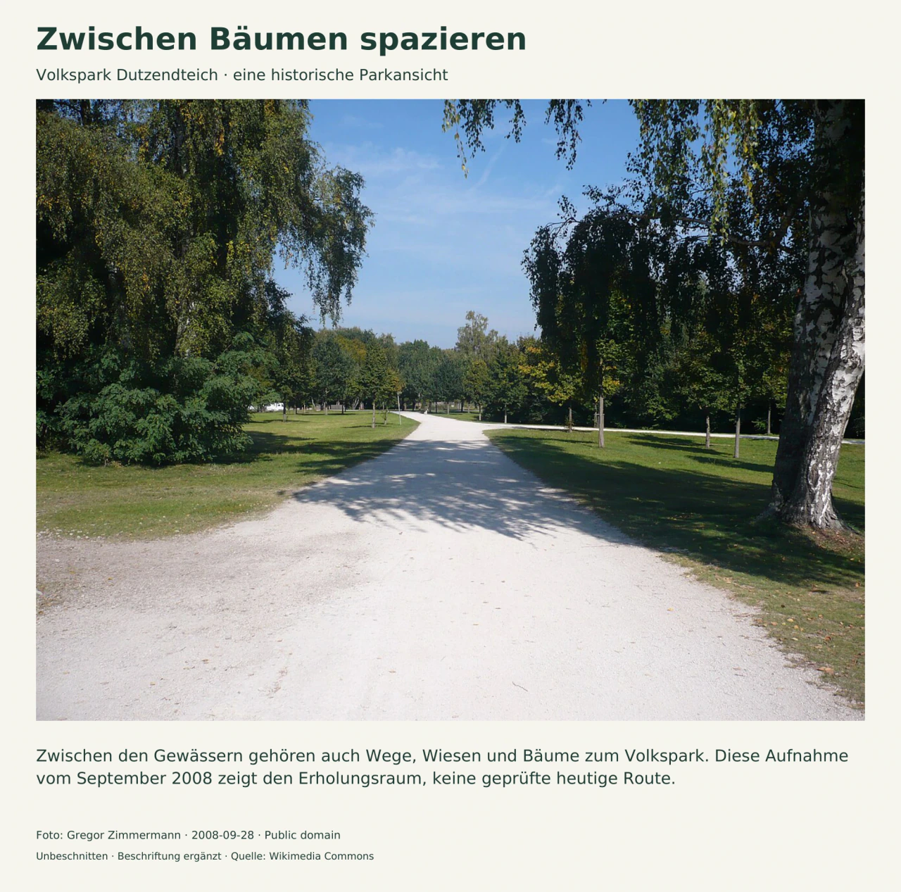 Ein breiter heller Parkweg führt zwischen Rasenflächen und Bäumen hindurch; rechts steht ein weißstämmiger Baum im Vordergrund.