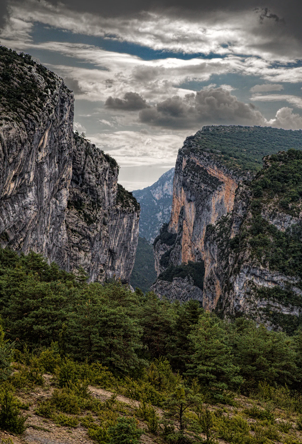 Tall pale limestone walls frame a deep wooded gorge beneath dark and white clouds, with shrubs in the foreground.